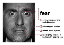Dr. Cal Lightman displays the microexpression for fear